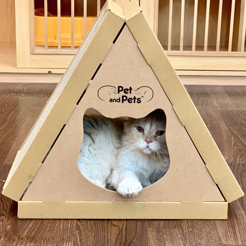 Eco-Friendly Cardboard Cat House with Scratch Boards