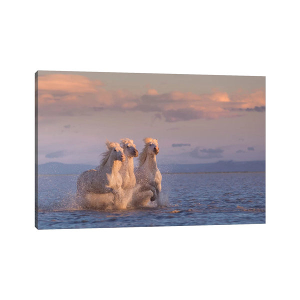 Brambly Cottage White Angels Of Camargue XXIX by Daniel Kordan ...