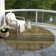 Machine Washable Indoor/Outdoor Claudian ACN1641 Gray Rug