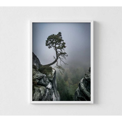 Reproduction d'art «Lone Tree on Cliff», Misty Forest View