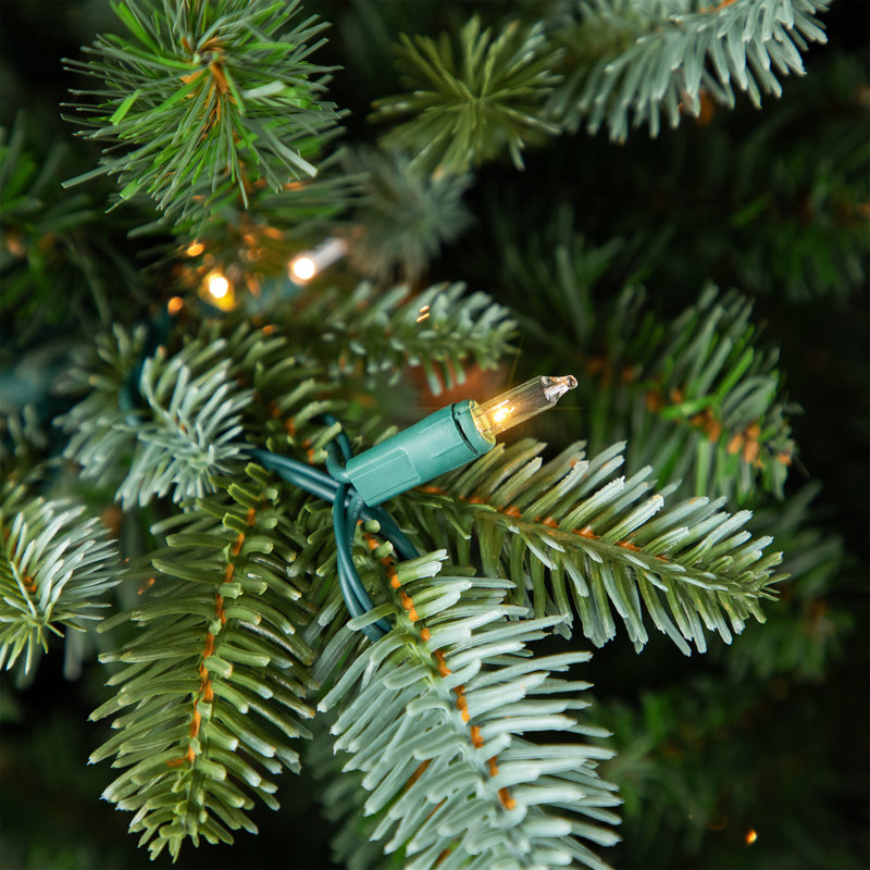 Real Touch Pre-Lit Full Blue Spruce Artificial Christmas Tree - Clear, 6.5'