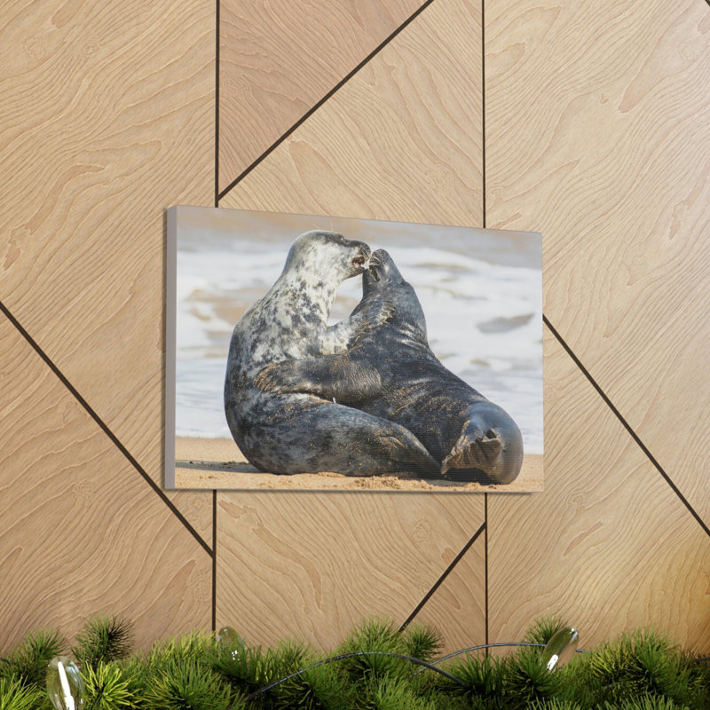 «Seal Couple», impression d'art mural