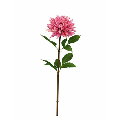 Arrangement floral 28 po Dahlia