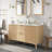 Gabi 60 in. Double Sink Bathroom Vanity-420203920