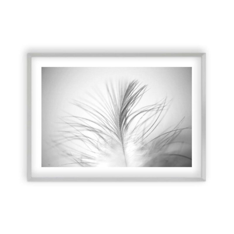 Print, Matt Silver Frame, 31 cm H x 41 cm W x 2.5 cm D