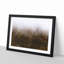Lappach Forest in Italy - Picture Frame Painting Print-56705095-56705097