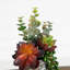 11 po Jardin artificiel plante grasse calice