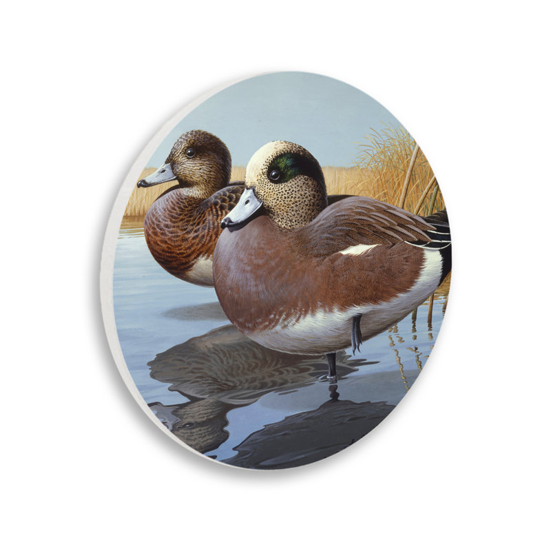 Plaque murale circulaire «American Wigeons on Shore» par Rod Lawrence