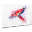 Macaw Parrot In Flight In Abstract - Wrapped Canvas Print-55323690
