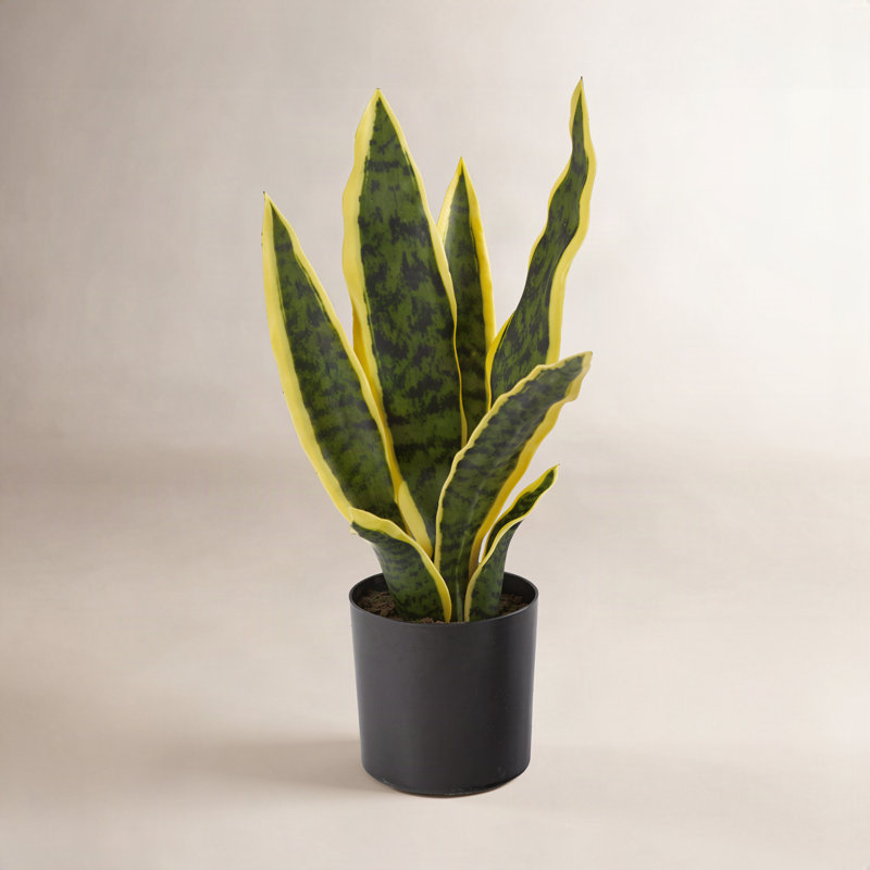 22" H Faux Snake Plant in Pot, 14" H x 6" W x 6" D, Yellow