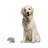 Ayon Animals Figurines & Sculptures