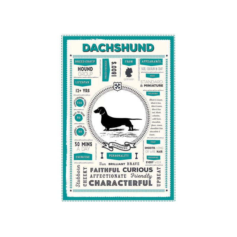 «Dachshund Infographie Blue» par PaperPaintPixels, impression sur toile tendue, H 60 po x l 40po x P 1,5 po