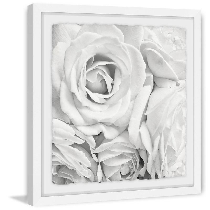 «Soft White Petals» par Sylvia Cook - impression encadrée, H 12 po x l 12 po x P 1,5 po