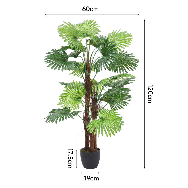 140cm Plant