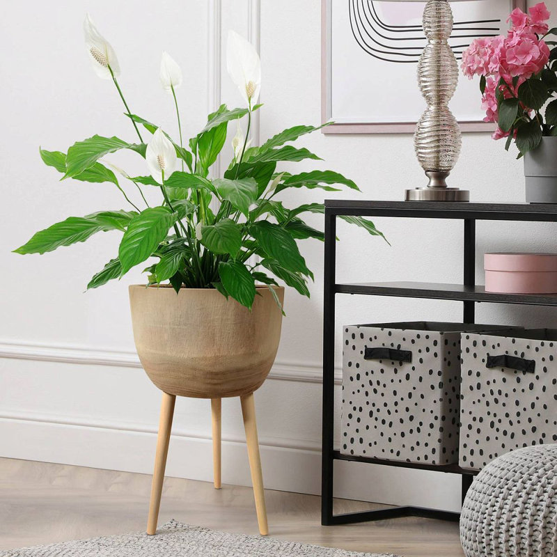 GAIA Tall Indoor Plant Pot Stand for House Plants with Waterproof Liner | Natural Wooden House Planter with Legs 