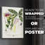 Imperial Tropical Botanical II - Impression sur toile seulement - SANS CADRE-22861251