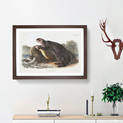 Sea Otter by J.W. Audubon - Picture Frame Painting Print