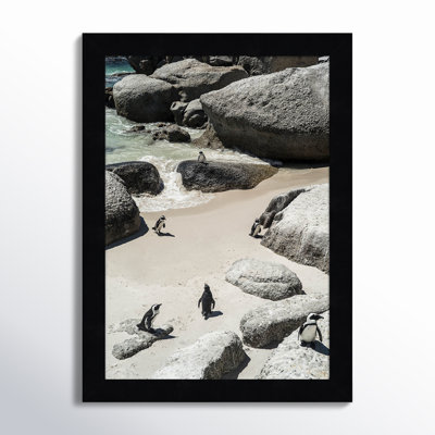 Chilling At the Beach No 2 by Shot by Clint Wood Framed Wall Art Print