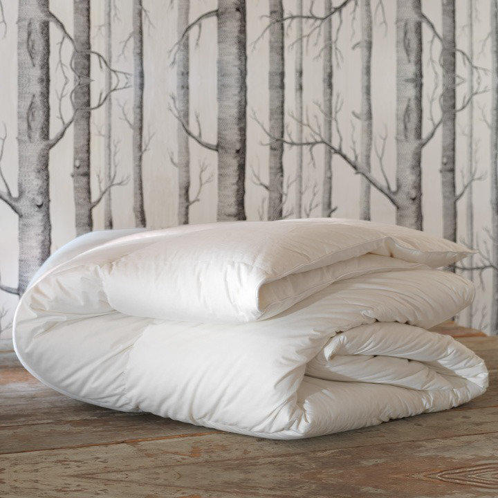 Loure All Season Microfiber Down Comforter, Twin