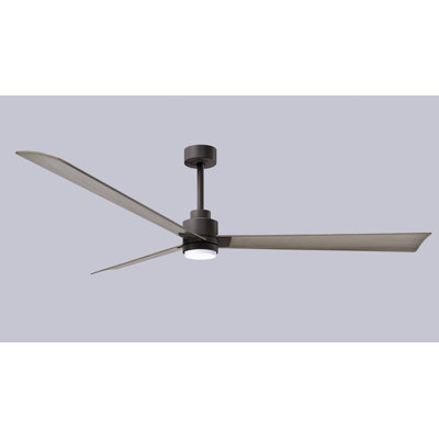 Alessandra Ceiling Fan