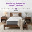  Matelas hybride ferme 10 "/ 12" / 14 "- Wayfair-25808880-131997961