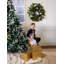 Rudolph 30" Wreath