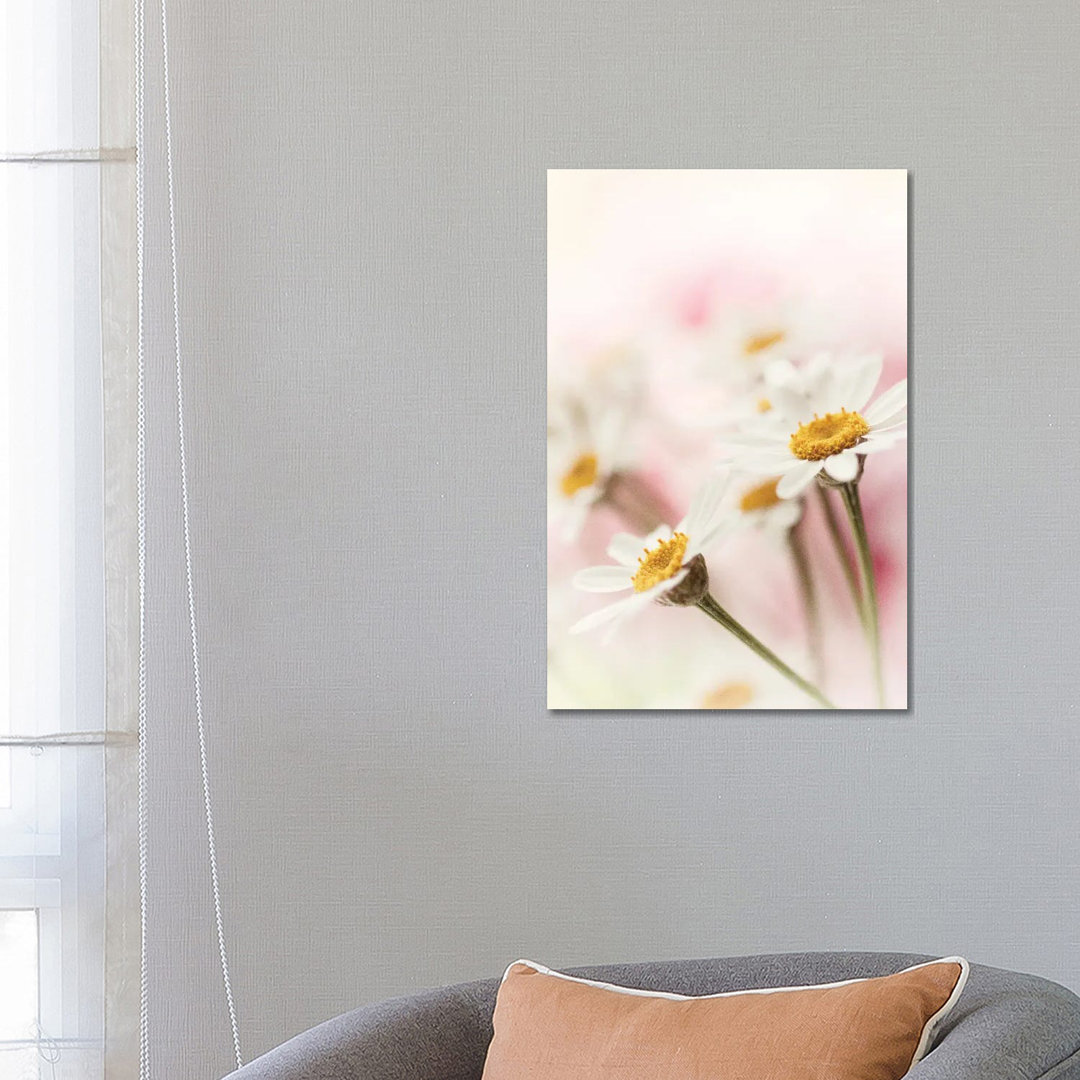 Flowers Aglow III von Judy Stalus - Gallery-Wrapped Canvas Giclée on Canvas