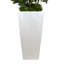 Olive Tree Artificial in Fiberstone Planter