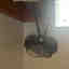 Photos des clients 1 de 1