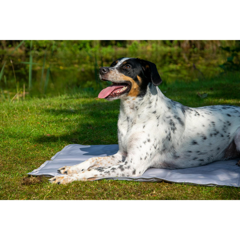 Crochet Nylon Pet Bed
