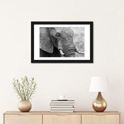 " Sleeping Elephant " by Anders Jorulf