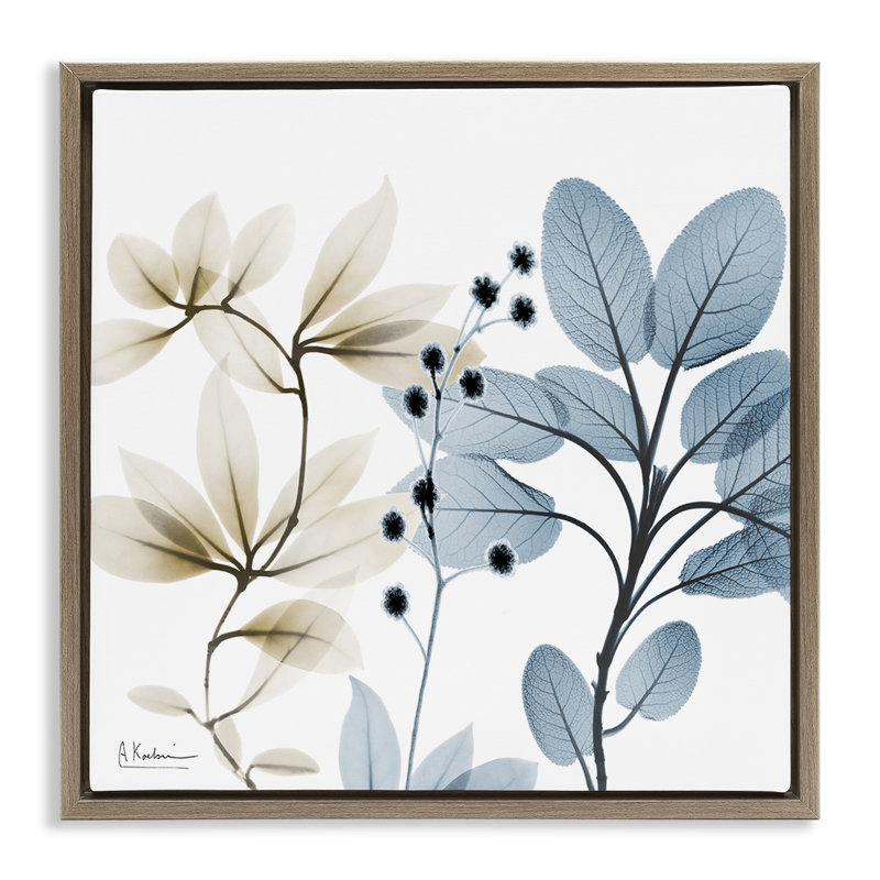 Branches d'herbes modernes, Cadre flottant orme Montalcino, H 18 po x l 18 po