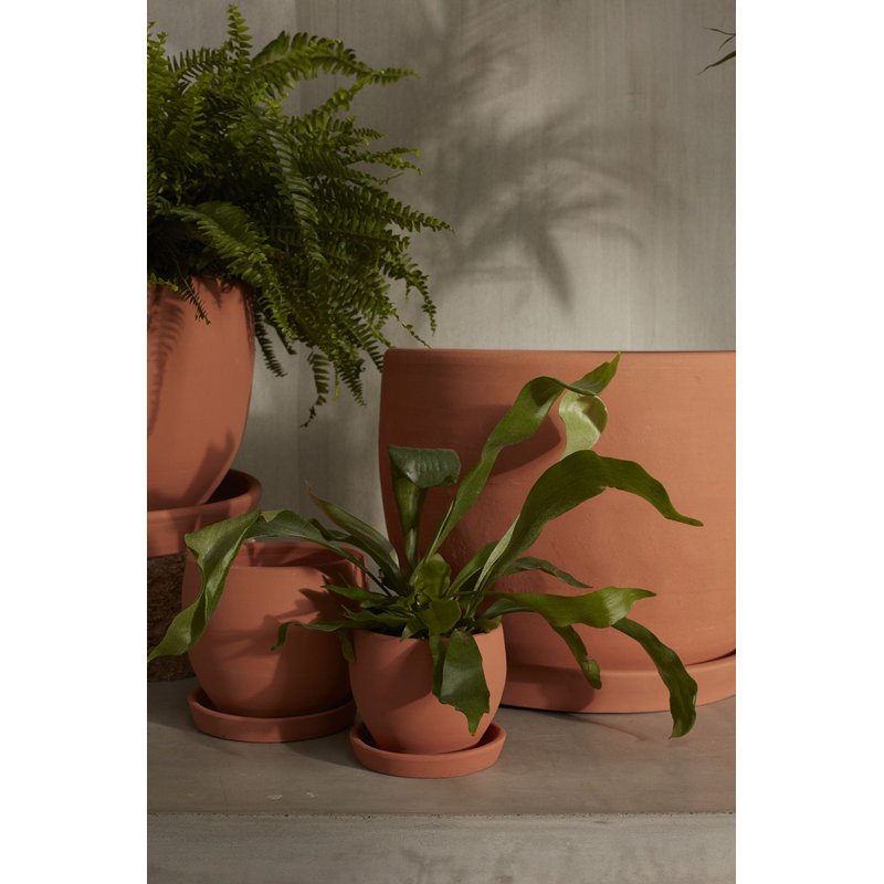 Pot de fleurs en céramique Elisabeth, H 5 po x l 4,75 po x P 4,75 po