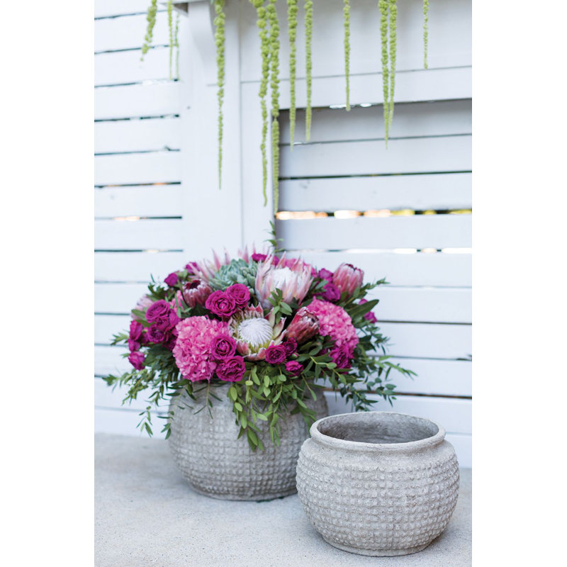 Pot Planter