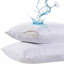Paquet de 2 protège-oreillers standards Beddora, housses de coussins imperméables à fermeture à glissière, anti-punaises et anti-acariens, enveloppements doux et silencieux pour la protection contre les allergies-116320694