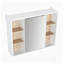W H Medicine Cabinet Mirror