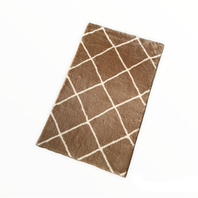 Light Brown Area Rug, 50 x 80 cm (1.6 x 2.6 ft) | 100% Polyester, Vacuum Cleaner Safe, Non-Machine Washable, Elegant Design for Living Room & Bedroom | Soft Texture, Adds Warmth to Any Space