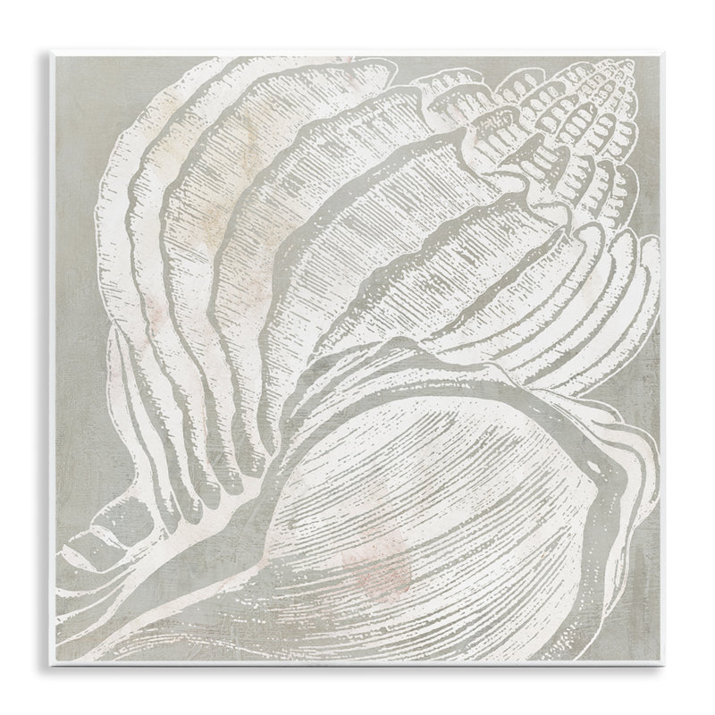 «Beige Conch» par Carol Robinson