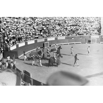 Corrida «Bullillo 1949» par Nnehring