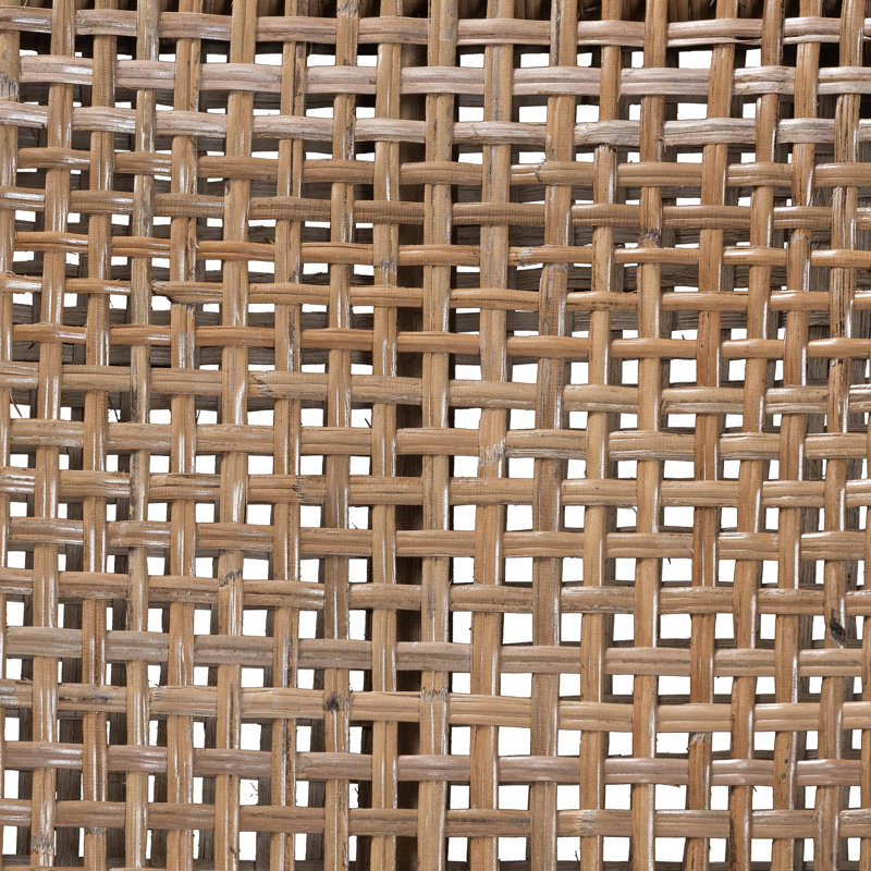 Ensemble de fauteuils de salle à manger Bali et Pari Abiel en rotin naturel 2 pièces avec coussin