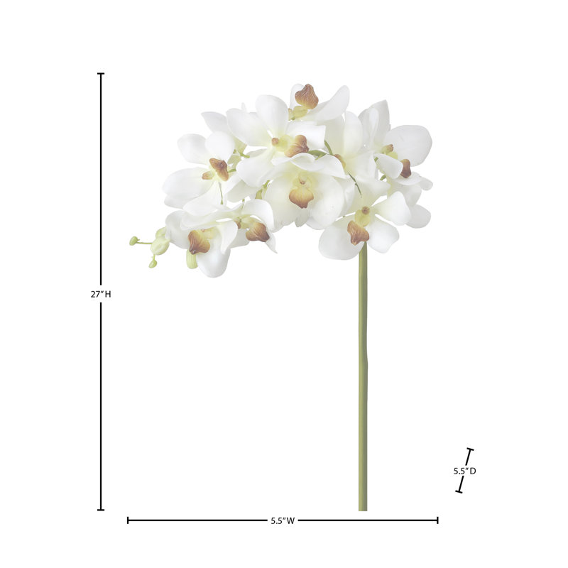 Vaporisateur d'orchidée Just Cut Vanda 27 po, Blanc