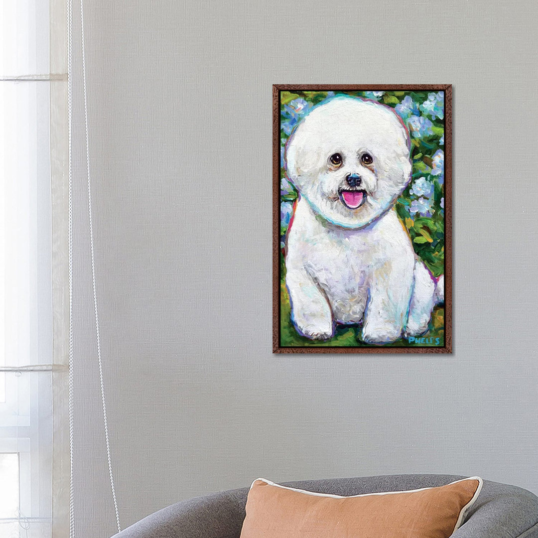 Bichon Frise And Blossoms von Robert Phelps - Galerie-verpackte Leinwand Giclée auf Leinwand