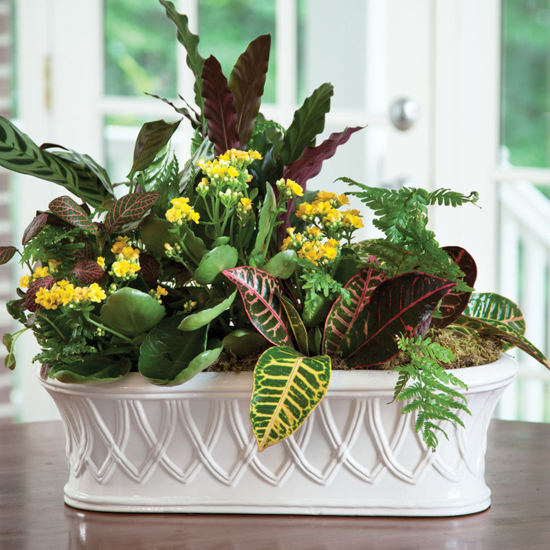 White Classic Oblong Ceramic Cachepot