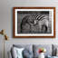 " Botswana Afternoon "-33906371-33906383