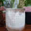 Photos des clients 2 de 2