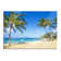 Beautiful Beach With Palm Trees - No Frame Print on Glass
