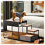 Elevated Dog Bunk Bed with Pet Window Perch - Multi-Level Pet Furniture with Non-Slip Steps, Storage Drawer and Vintage Design for Small to Medium Pets