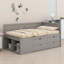 Lit de jour avec tiroirs et tablettes-443369930