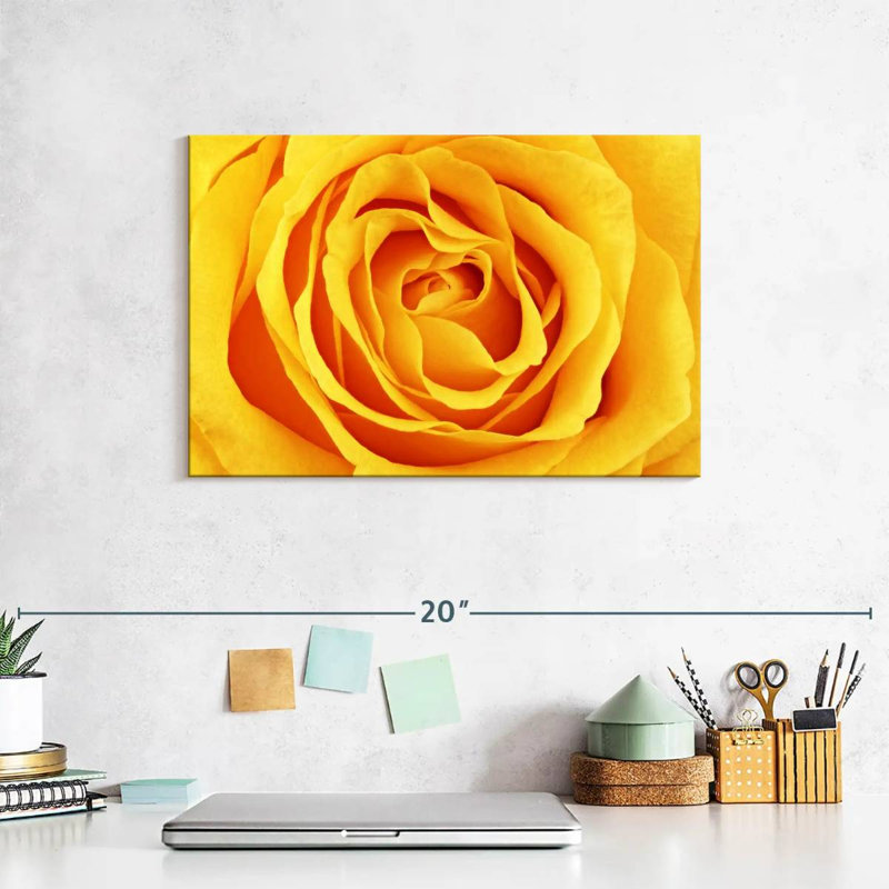 Harnek Lemony Rose, 8" H x 12" W