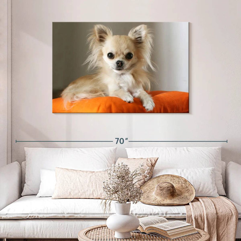 Crowhu Chihuahua sur un oreiller, H 30 po x l 45 po